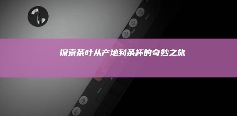 探索茶叶：从产地到茶杯的奇妙之旅